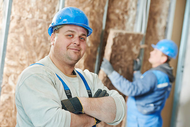 Best Insulation Maintenance and Repair in Newport, OH