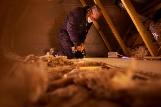 Best Insulation Installation Services in Newport, OH
