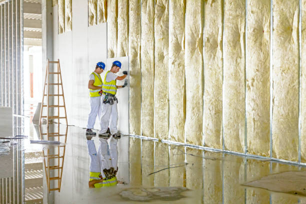 Best Types of Insulation in Newport, OH